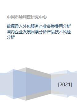 軟件外包服務企業多維剖析 成本結構、發展要素與技術風險管理